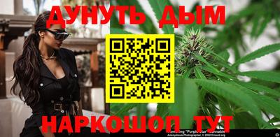 индика Ачхой-Мартан