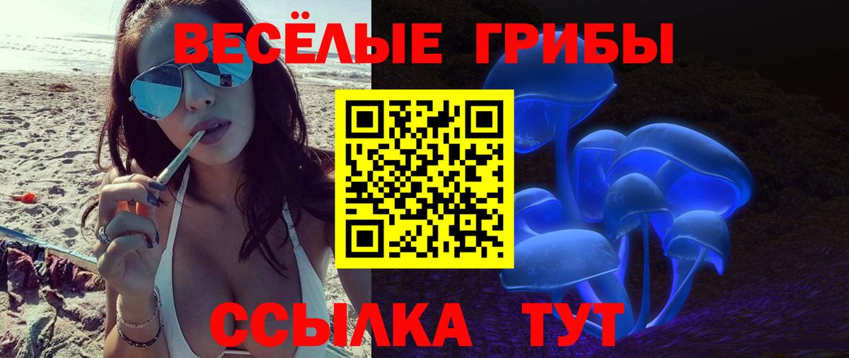 Галлюциногенные грибы Psilocybine cubensis  Галлюциногенные грибы Psilocybine cubensis  Губкинский  Вход с VPN 