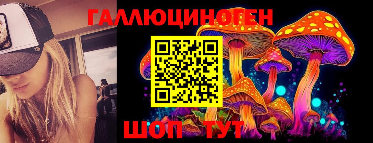 Псилоцибиновые грибы Psilocybine cubensis Губкинский