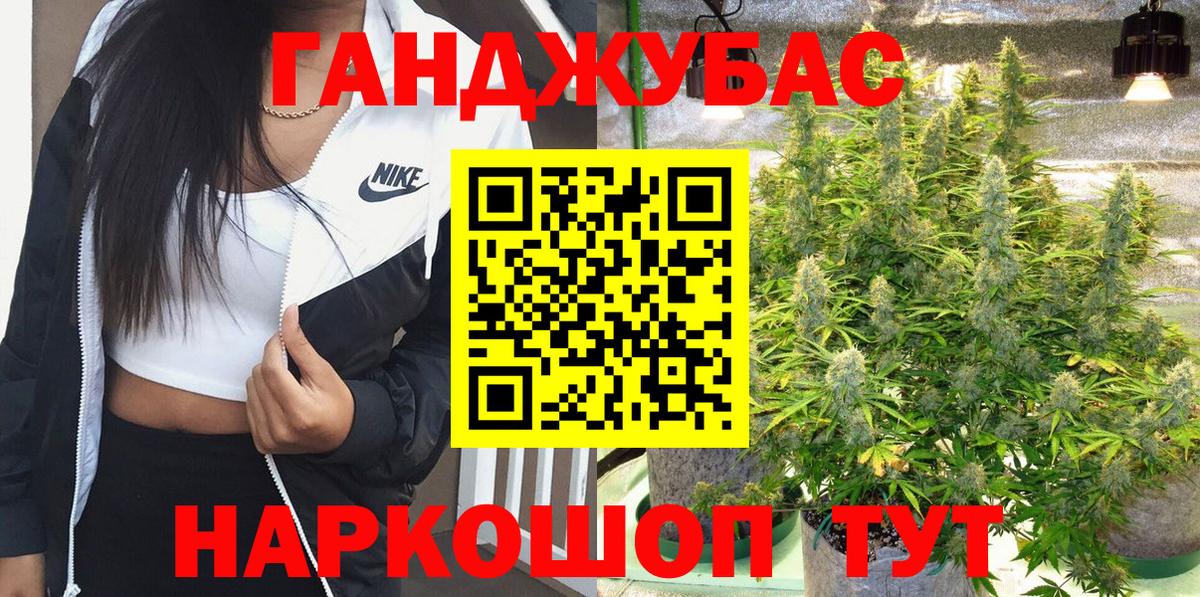 Бошки Шишки планчик Губкинский